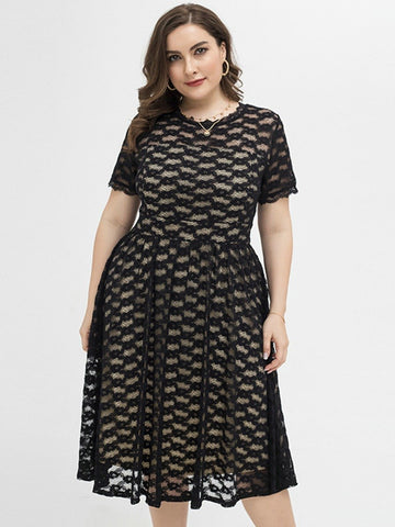 Plus Size lady V Back Pierced Lace Dress