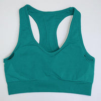 Basic Daily Seamless Solid Color Two-Pieces Sports Set