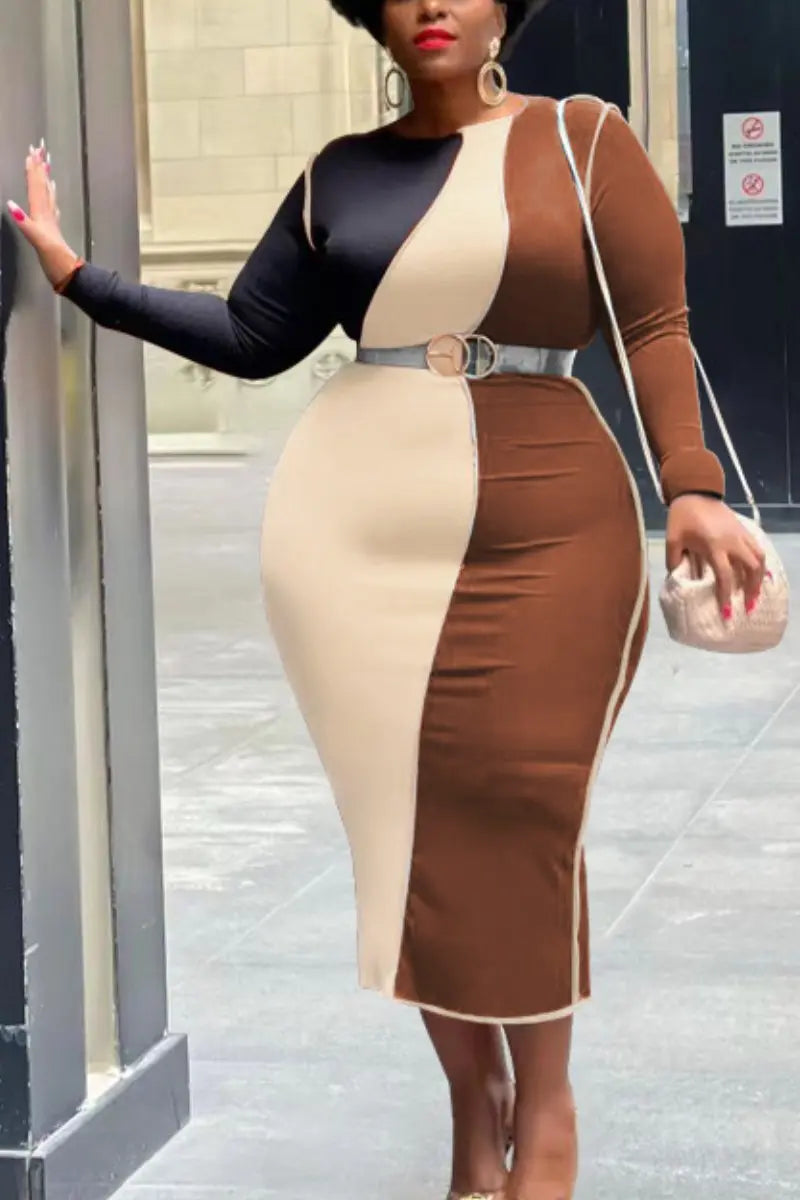 Paneled Contrast Skinny Plus Size Dress