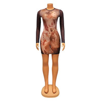 Women's Figure Print Color Block Long Sleeve Mesh Mini Bodycon Dress