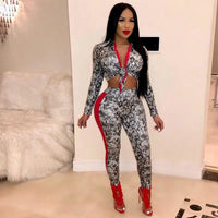 Women's Snakeskin Print Knot Front Crop Top And Pants Two Piece Set